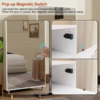 Mirror Shoe Cabinet with 6 Flip Drawers and 4 Metal Legs