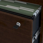 2-Drawer Lateral File Cabinet