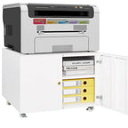 2-Door Printer Stand with Storage