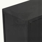 2-Door Storage Cabinet with Adjustable Shelf