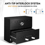 2-Drawer Wood Lateral File Cabinet