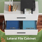 2-Drawer Wood Lateral File Cabinet