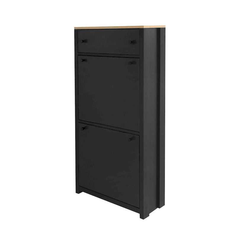 Shoe Cabinet with 2 Flip Drawers and Adjustable Panel