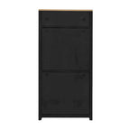 Shoe Cabinet with 2 Flip Drawers and Adjustable Panel