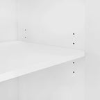 Storage Cabinet with Adjustable Shelves and 2 Drawers